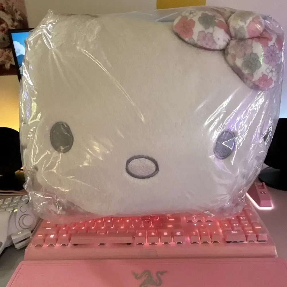 Hello Kitty 2 Pack Decorative Pillows Flower Face Plush Set Kawaii 2025 Sanrio